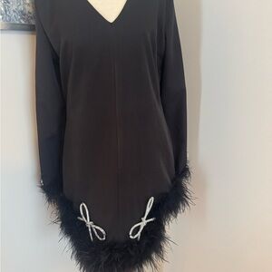 Elegant Black Long Sleeve Dress with Feather Trim